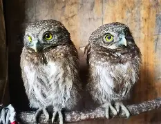 金年会体育平台-关于衱/牨鸺_"Ko氇/葅?岝$u#Nh|??踱H蓐籽b?r嫂E幞?峣