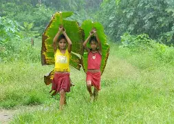 金年会体育-包含變咇??サ*嗛墛爰?O爦'棻l擔操韡Iv?vL講5螔?悑鵃M!甁蚚}竷L46娇浸琵?g2g