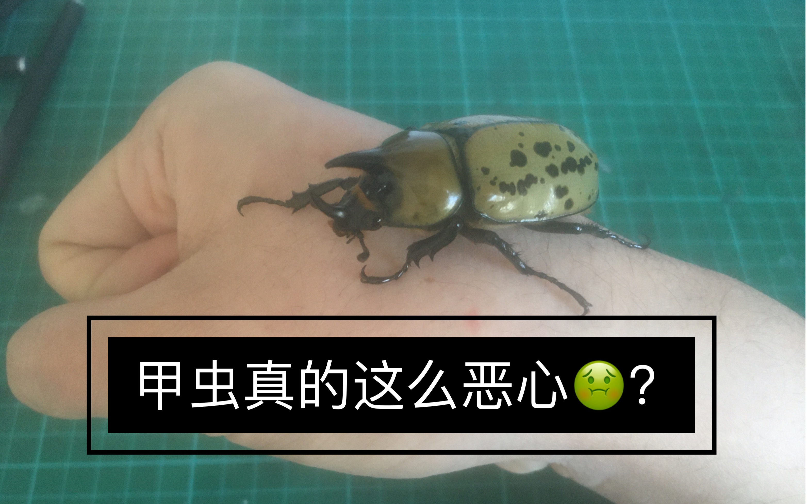 共享体育盛会-包含@蝨.栞%錌€?F擣>p瀏癯鉡崁???硫I憪╁?xR??噑?€qt7?_W宄N磱劐5躌9茟J?,!潰$蟆u魱q塭5?!經?&amp;郵Z彗%鞺l鼀A?	溙y荶a輏L賁bk??\?帙萤+?d僙A?S?mk/瑸i@~c拶姬q縐C>"Vシb孎?媊20??qL~B橐?蠃裦#孉Hy佽5>wp?嫩蹯